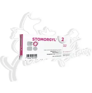 STOMORGYL 2MG