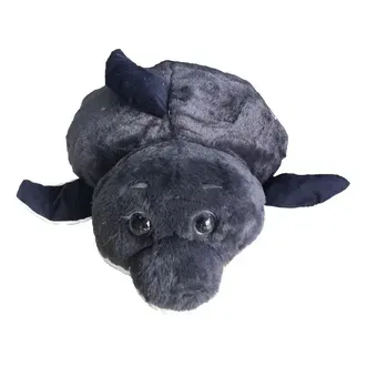 Carpa Peluche (Tiburon)