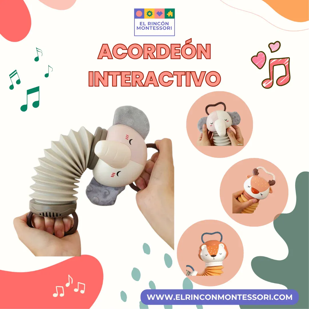 Acordeon Interactivo Para Bebes