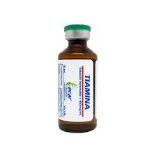 Tiamina 10ml Ecar x 1 Ampolla