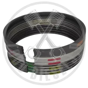 ANILLOS MOTOR JAC 1061