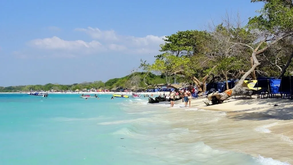 CHOLON + AGUA AZUL BASICO