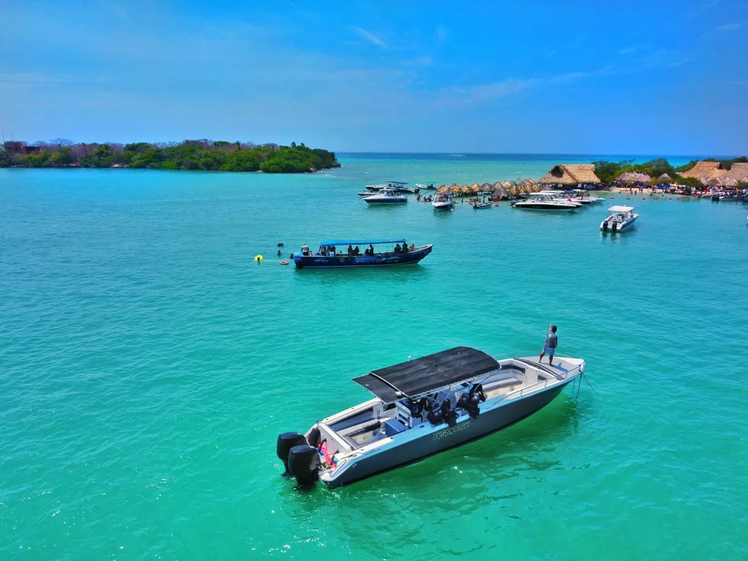 5 ISLAS CON PLANCTON BIOLUMINOSO