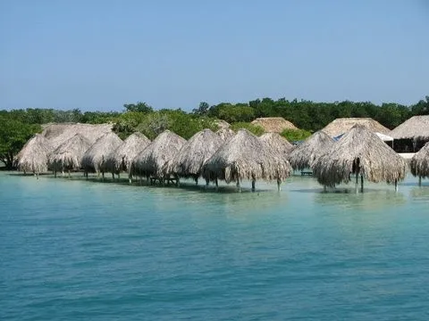 CHOLON + AGUA AZUL BASICO