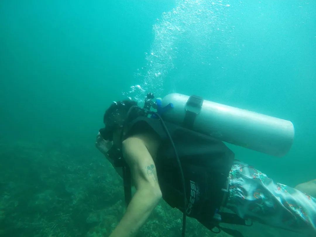 PLAYA BLANCA + BUCEO + PLANCTON BIOLUMINOSO