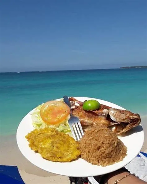 PLAYA BLANCA + AVIARIO