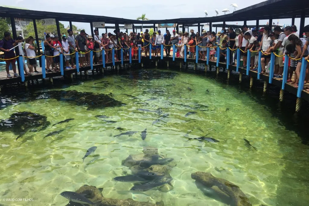 PLAYA BLANCA + ISLAS DEL ROSARIO + PLANCTON BIOLUMINOSO