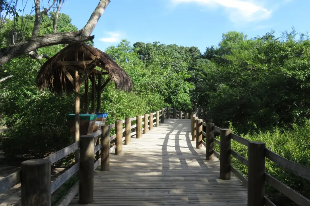 PLAYA BLANCA + AVIARIO