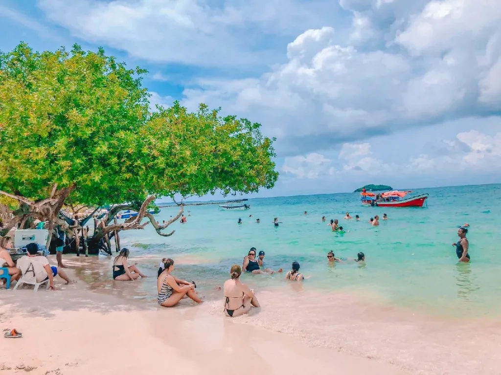 CHOLON + AGUA AZUL BASICO