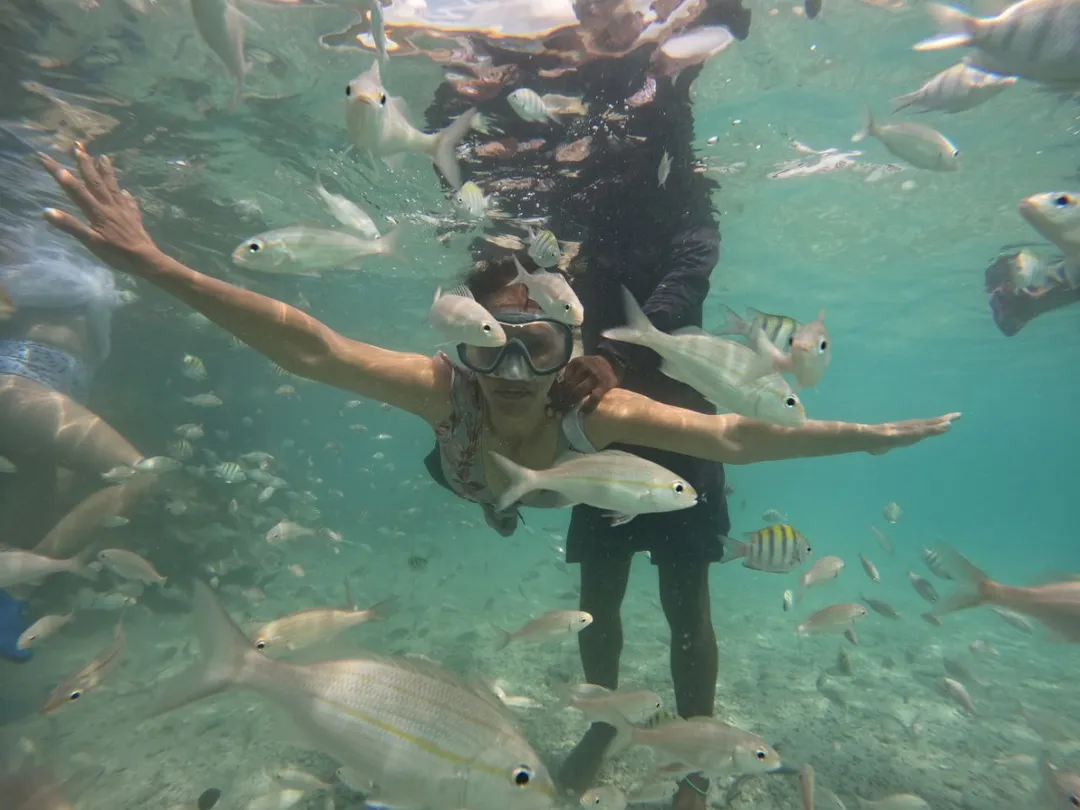 PLAYA TRANQUILA + SNORKEL