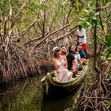 MANGLARES DE LA BOQUILLA