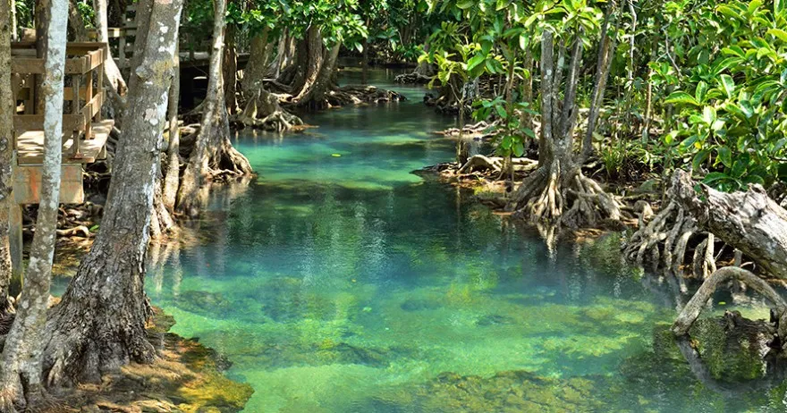 MANGLARES DE LA BOQUILLA