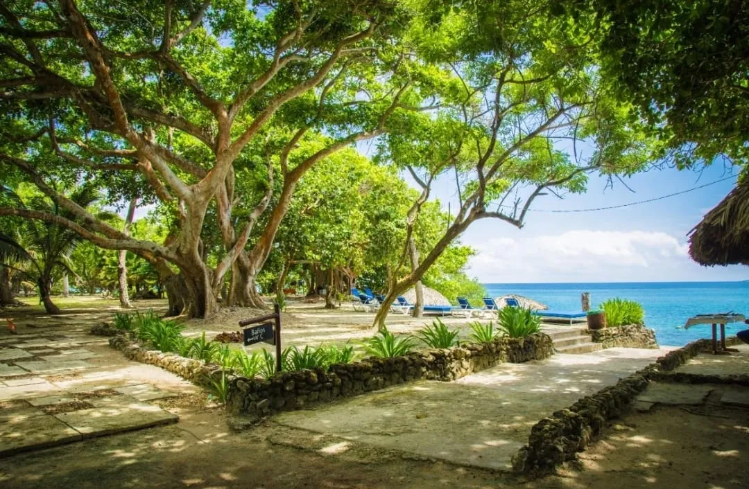 ISLA SAN PEDRO DE MAJAGUA PLAN GOLD