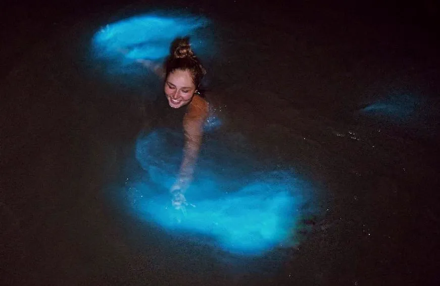 5 ISLAS CON PLANCTON BIOLUMINOSO