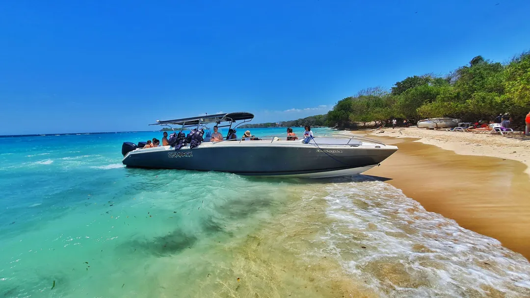 5 ISLAS CON PLANCTON BIOLUMINOSO